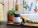 Reklamnepredmety Smoothie 2 Go mini blender 300-Watt