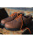 Reklamnepredmety Managers Brogue boty