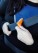 Reklamnepredmety Dual port car charger with belt cutter and hammer
