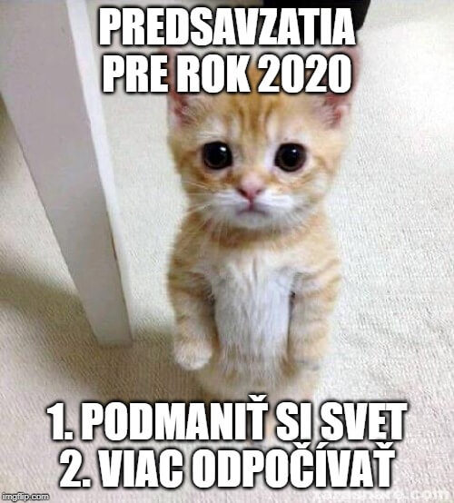 2020-01-13-meme-predsavzatia