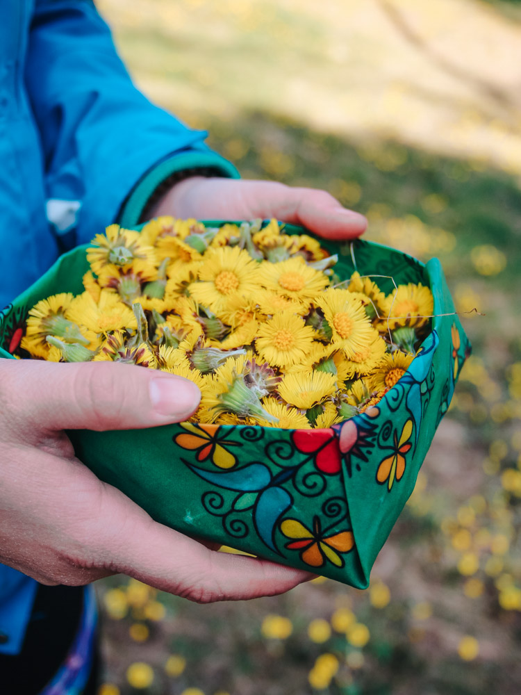 Obal z vosku na kvety