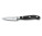 Nůž na ovoce a zeleninu 8 cm Victorinox Grand Maitre - Victorinox-Grand-Maitre-Nôž-na-ovocie-a-zeleninu-8-cm- - variant Vi 7.7203.08G