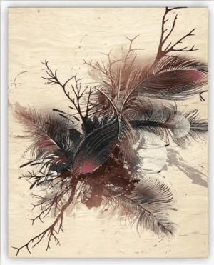 Dřevěný obraz Feathers - Reklamnepredmety