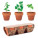 Sada 3 hliněných terakotových květináčů FLOWERPOT - mo6145-40 - variant Mo MO6145-40