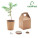 Eko balíček se semínkem stromu GROWTREE ™ - mo6228-13 - variant Mo MO6228-13