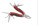 Multifunkční nářadí SCHWARZWOLF ARMADOR NEW - f2400403aj3_b - variant I F2400403AJ3