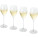 Sada čtyř sklenic na prosecco Sereno - 11323601_E1 - variant PF 11323601
