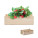 Jahodový set v přepravce STRAWBERRY - mo6506-40 - variant Mo MO6506-40