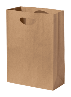 Haspun papírová taška - Reklamnepredmety