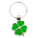 CLOVER LUCK kovový přívěsek na klíče - R73188.05_a - variant Pr R73188.05