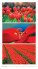 Nástěnný kalendář Colours 2024 - N27-24_VN - variant Sp N27-24