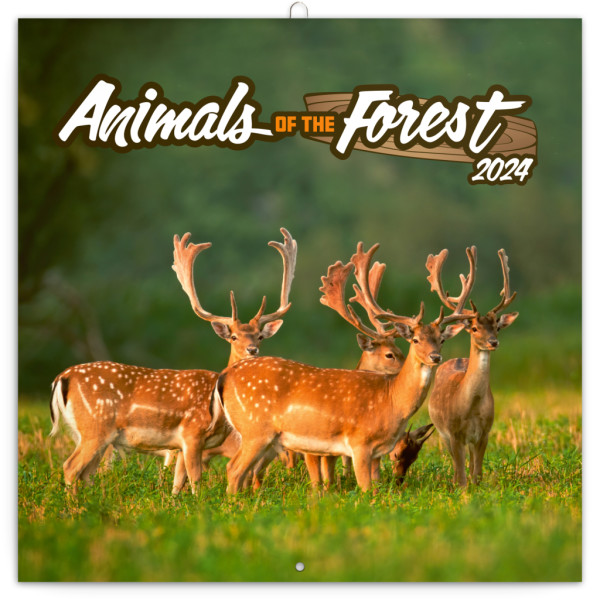 Poznámkový kalendář Zvířátka z lesa 2024
