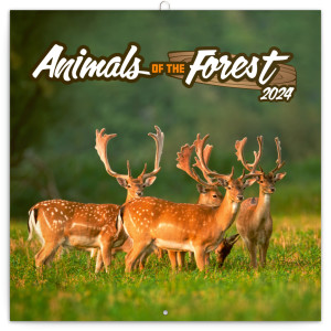 Poznámkový kalendář Zvířátka z lesa 2024 - Reklamnepredmety