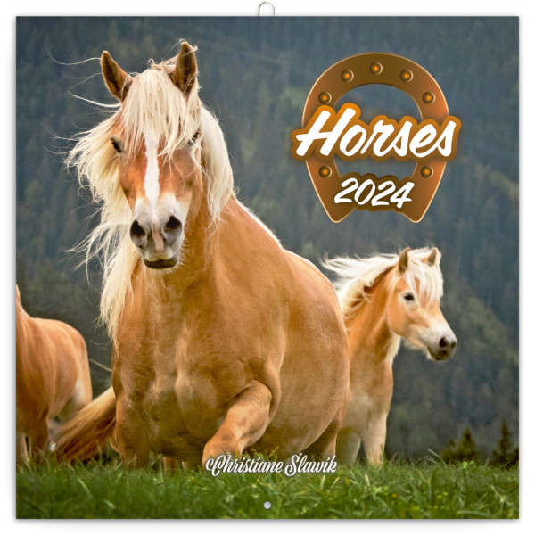 Poznámkový kalendář Koně – Christiane Slawik 2024