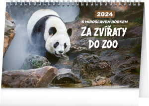Stolní kalendář Za zvířaty do zoo – Miroslav Bobek 2024 - Reklamnepredmety