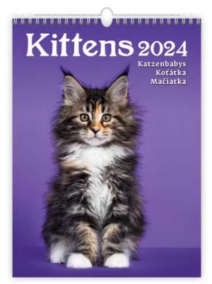 Kalendář Kočičky - Reklamnepredmety