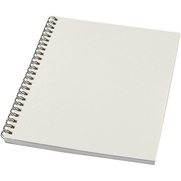 Barevný kroužkový zápisník A5 Desk-Mate®