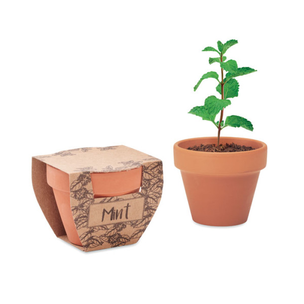 Malý  květináč se semeny máty MINT POT