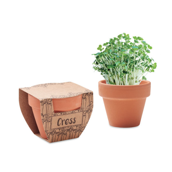 Malý květináč se semeny řeřichy CRESS POT