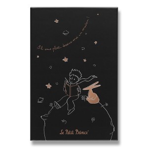 Zápisník Moleskine Le Petit Prince - tvrdé dosky L, linajkový, zberateľská edícia - Reklamnepredmety