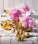 Kalendár Live Design - N260-26_001 - variant He N260-26
