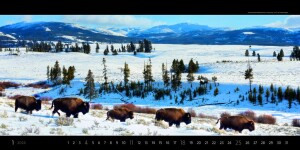 Kalendár Panoramaphoto - Reklamnepredmety
