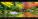 Kalendář Panoramaphoto - N261-27_010 - variant He N261-27