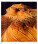 Kalendář Geo Art - N265-27_012 - variant He N265-27