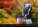 Kalendář Landscapes - N128-27_011 - variant He N128-27