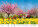 Kalendář Gardens - N130-27_004 - variant He N130-27