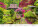 Kalendář Gardens - N130-27_006 - variant He N130-27