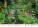 Kalendář Gardens - N130-27_009 - variant He N130-27