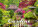 Kalendář Gardens - N130-27_013 - variant He N130-27