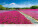 Kalendář Via - N133-27_005 - variant He N133-27