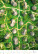 Kalendář World from Above - N139-27_006 - variant He N139-27