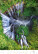 Kalendář World from Above - N139-27_008 - variant He N139-27