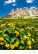 Kalendář Nature Emotions - N140-27_006 - variant He N140-27