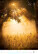 Kalendář Nature Emotions - N140-27_008 - variant He N140-27