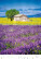 Kalendář Provence - N142-27_005 - variant He N142-27