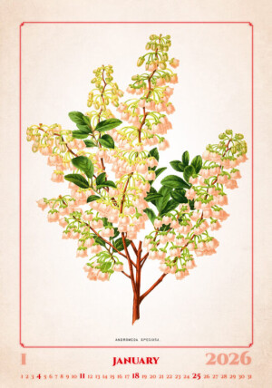 Kalendár Herbarium - Reklamnepredmety