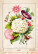 Kalendář Herbarium - N144-27_007 - variant He N144-27