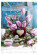Kalendář Magic Flowers - N145-27_002 - variant He N145-27