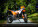 Kalendář Motorbikes - N154-27_004 - variant He N154-27