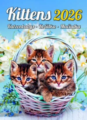Kalendář Kočičky - Reklamnepredmety