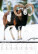 Kalendář Na mušce... - N308-27_002 - variant He N308-27