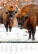 Kalendář Na mušce... - N308-27_012 - variant He N308-27