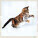 Kalendář Cats - LP01-27_001 - variant He LP01-27