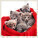 Kalendář Cats - LP01-27_003 - variant He LP01-27