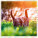 Kalendář Cats - LP01-27_005 - variant He LP01-27