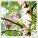 Kalendář Cats - LP01-27_007 - variant He LP01-27